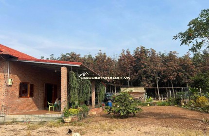 Kinh doanh thua lỗ bán nhanh nhà 2290m2 đất sổ riêng gần ngay khu công nghiệp đang hoạt động. Giá 380tr
